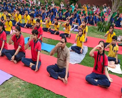 Yoga Day Celebrations 