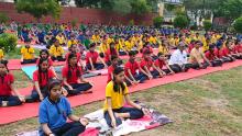 Yoga Day Celebrations 