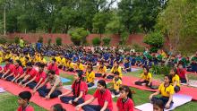 Yoga Day Celebrations 